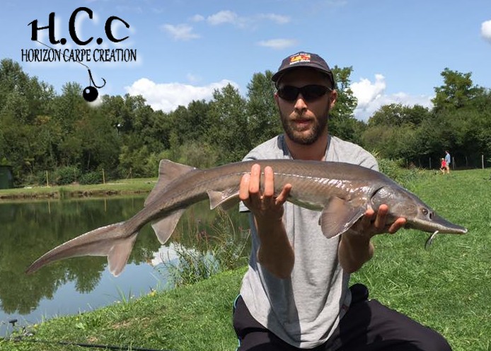 BENJAMIN ASTOUL - TEAM HCC ALSACE