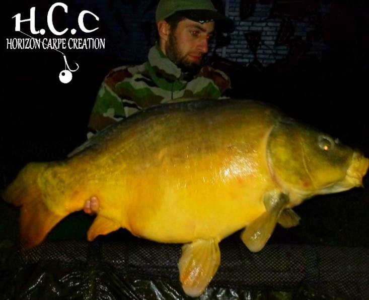 BENJAMIN - CLIENT HCC