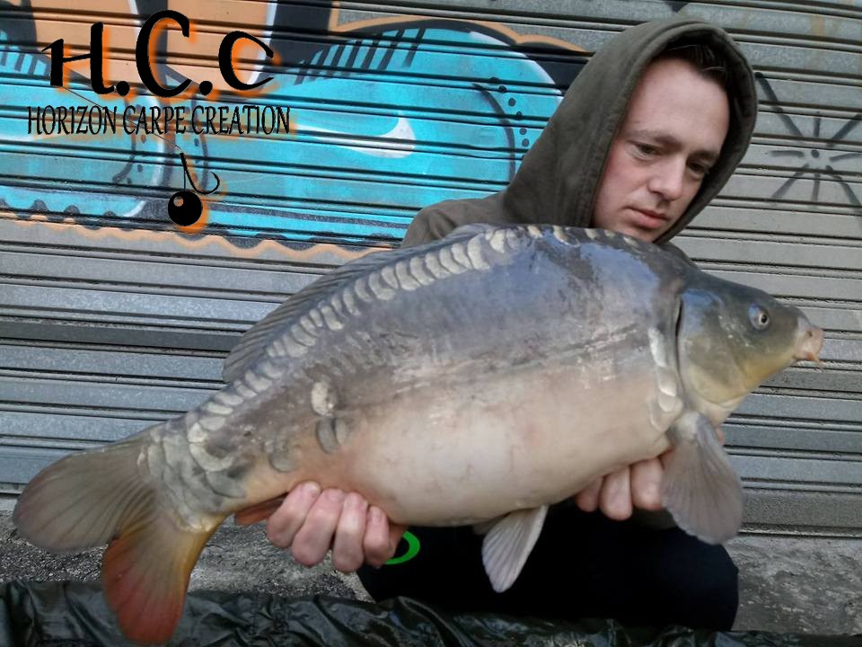BRANDON - CLIENT HCC
