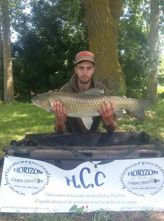 BRANDON PROGIN - TEAM HCC