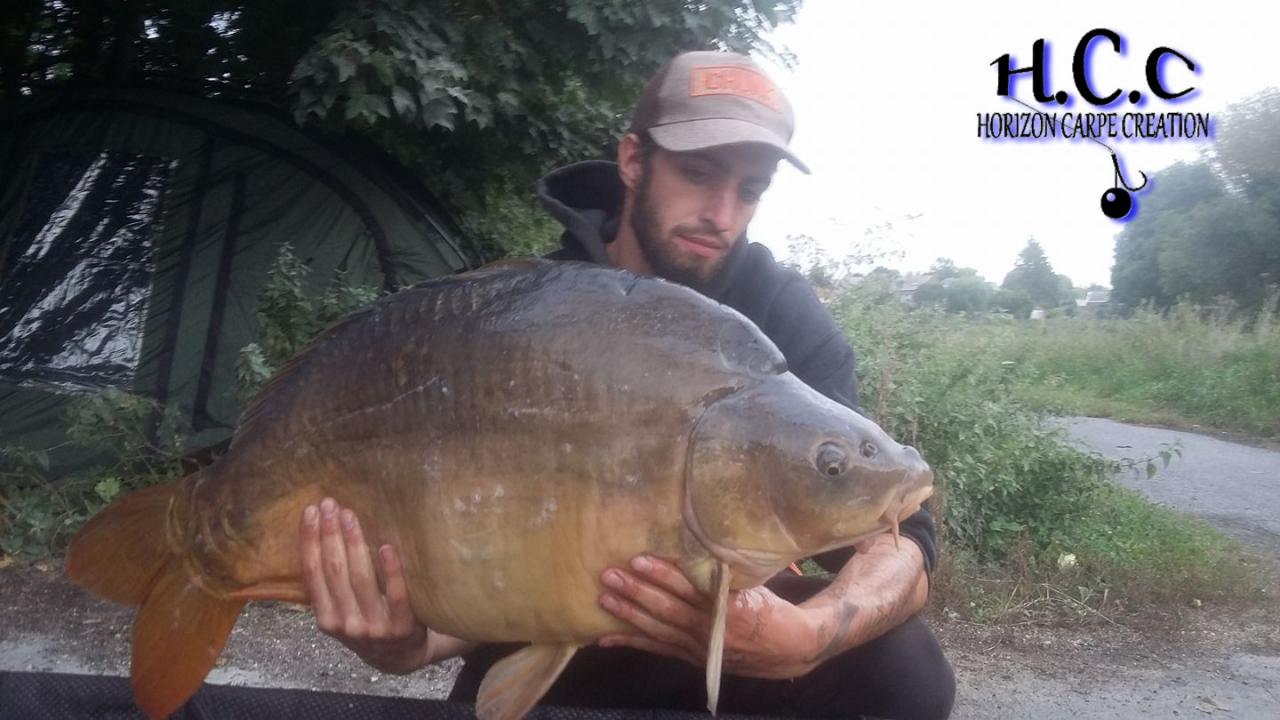 BENJAMIN - CLIENT HCC