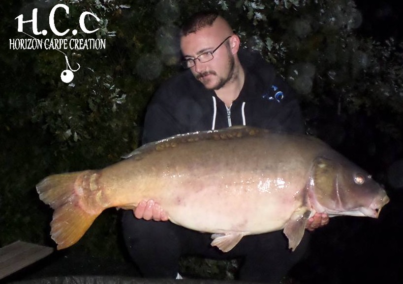 CEDRIC HAVY - CONSULTANT HCC
