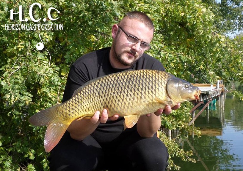 CEDRIC HAVY - CONSULTANT HCC
