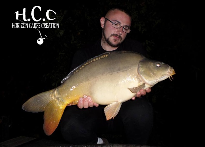 CEDRIC HAVY - CONSULTANT HCC