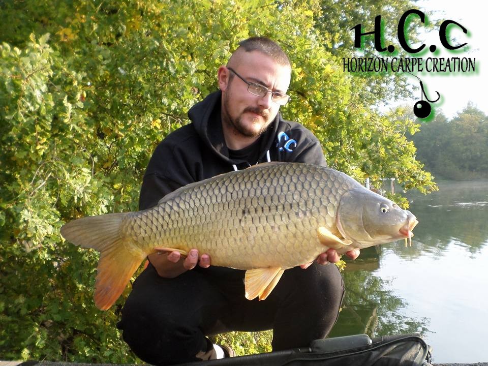 CEDRIC HAVY - CONSULTANT HCC