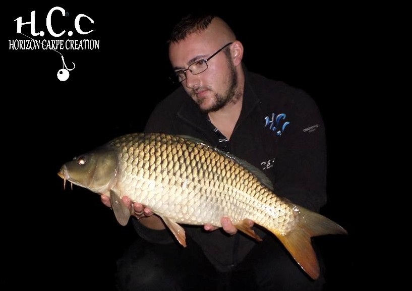 CEDRIC HAVY - CONSULTANT HCC