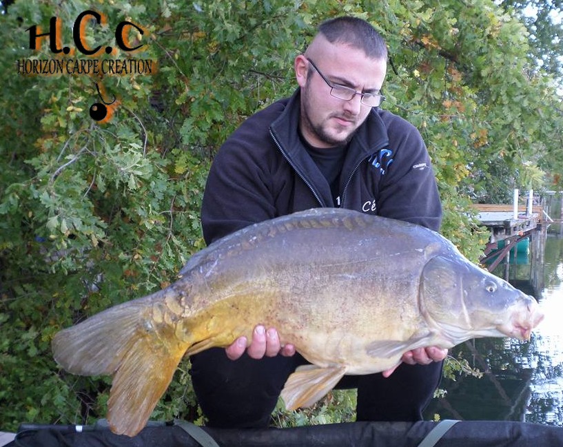 CEDRIC HAVY - CONSULTANT HCC