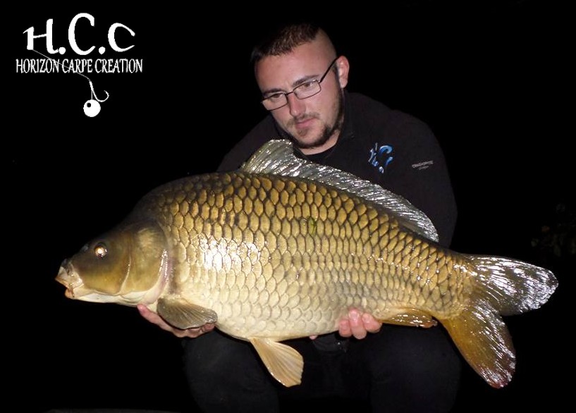 CEDRIC HAVY - CONSULTANT HCC