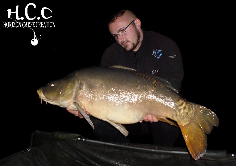 CEDRIC HAVY - CONSULTANT HCC