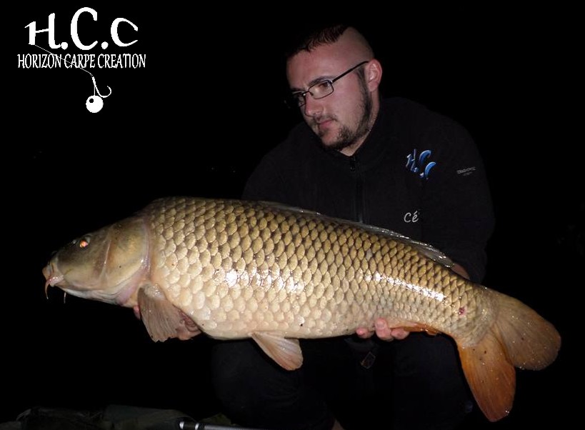 CEDRIC HAVY - CONSULTANT HCC