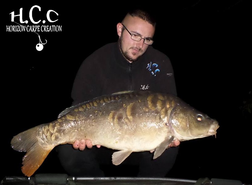 CEDRIC HAVY - CONSULTANT HCC