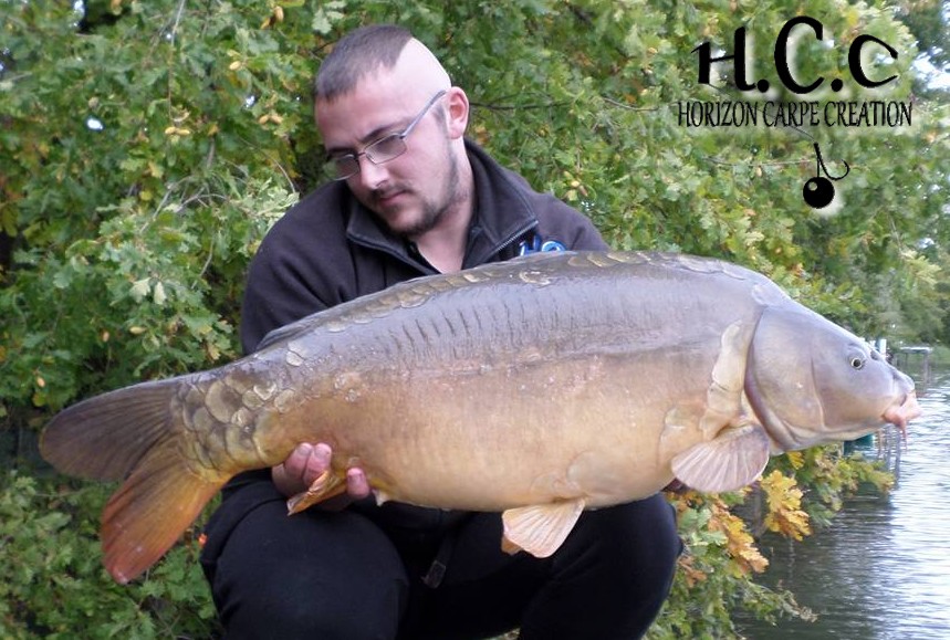 CEDRIC HAVY - CONSULTANT HCC