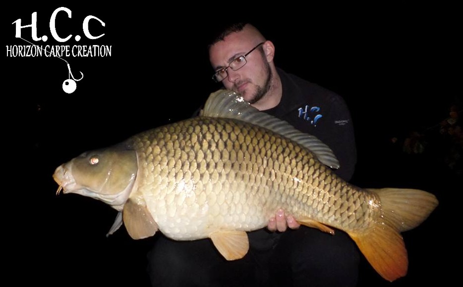 CEDRIC HAVY - CONSULTANT HCC