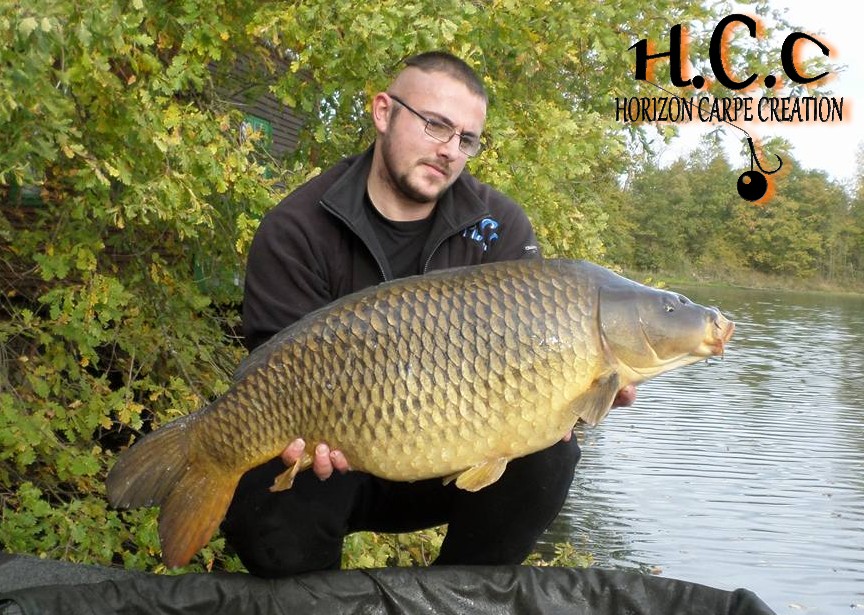CEDRIC HAVY - CONSULTANT HCC