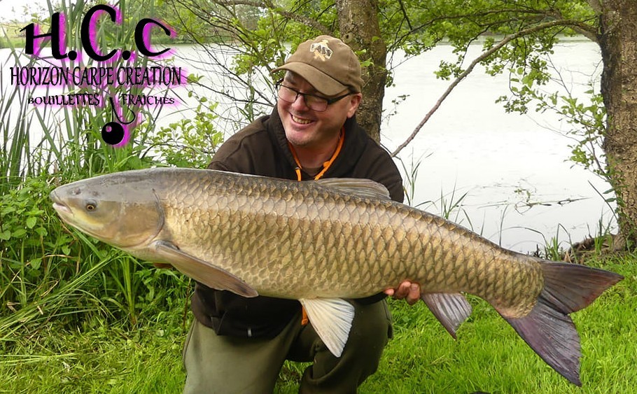 CEDRIC LAMBERT - TESTEUR HCC