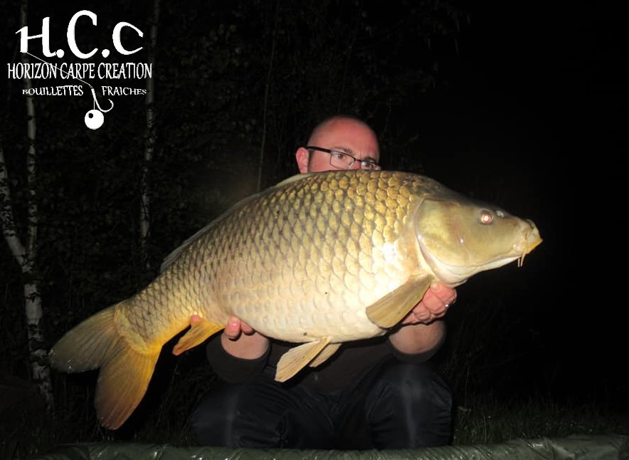 CEDRIC HAVY - CONSULTANT HCC