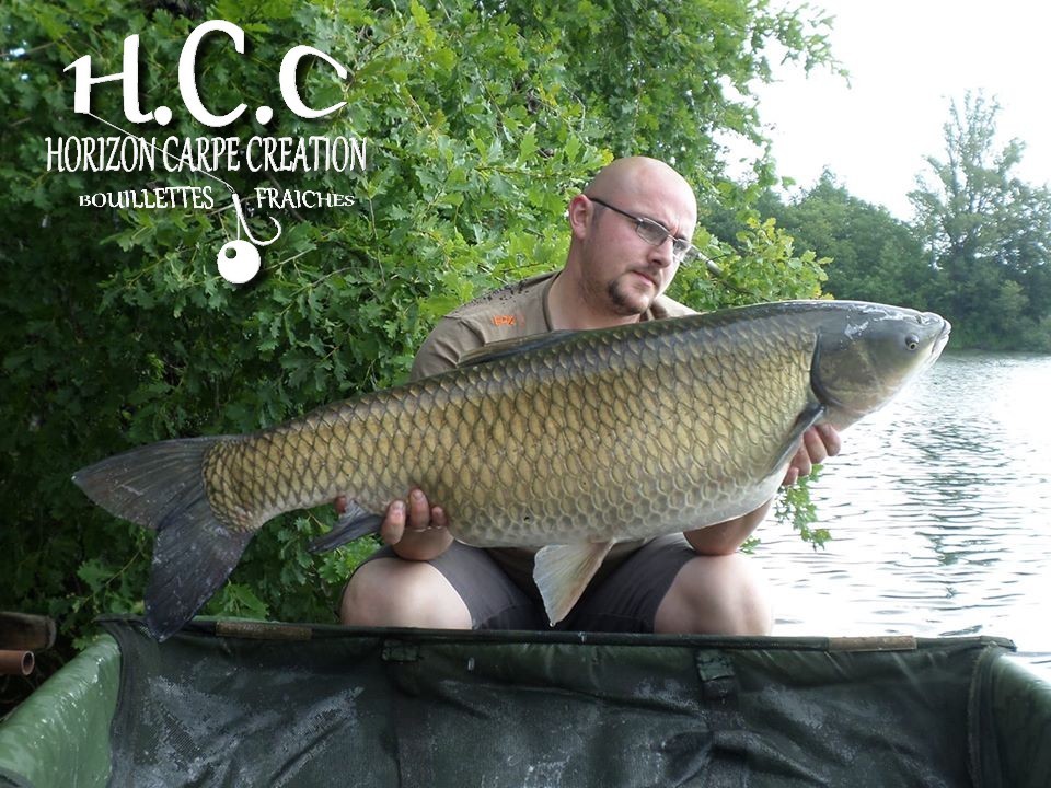 CEDRIC HAVY - CONSULTANT HCC