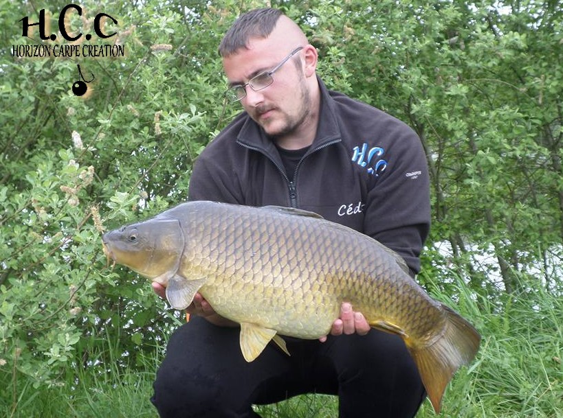 CEDRIC HAVY - CONSULTANT HCC