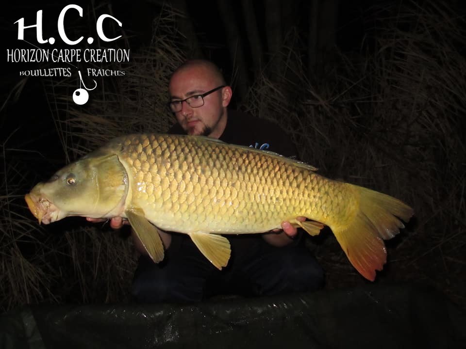 CEDRIC HAVY - CONSULTANT HCC