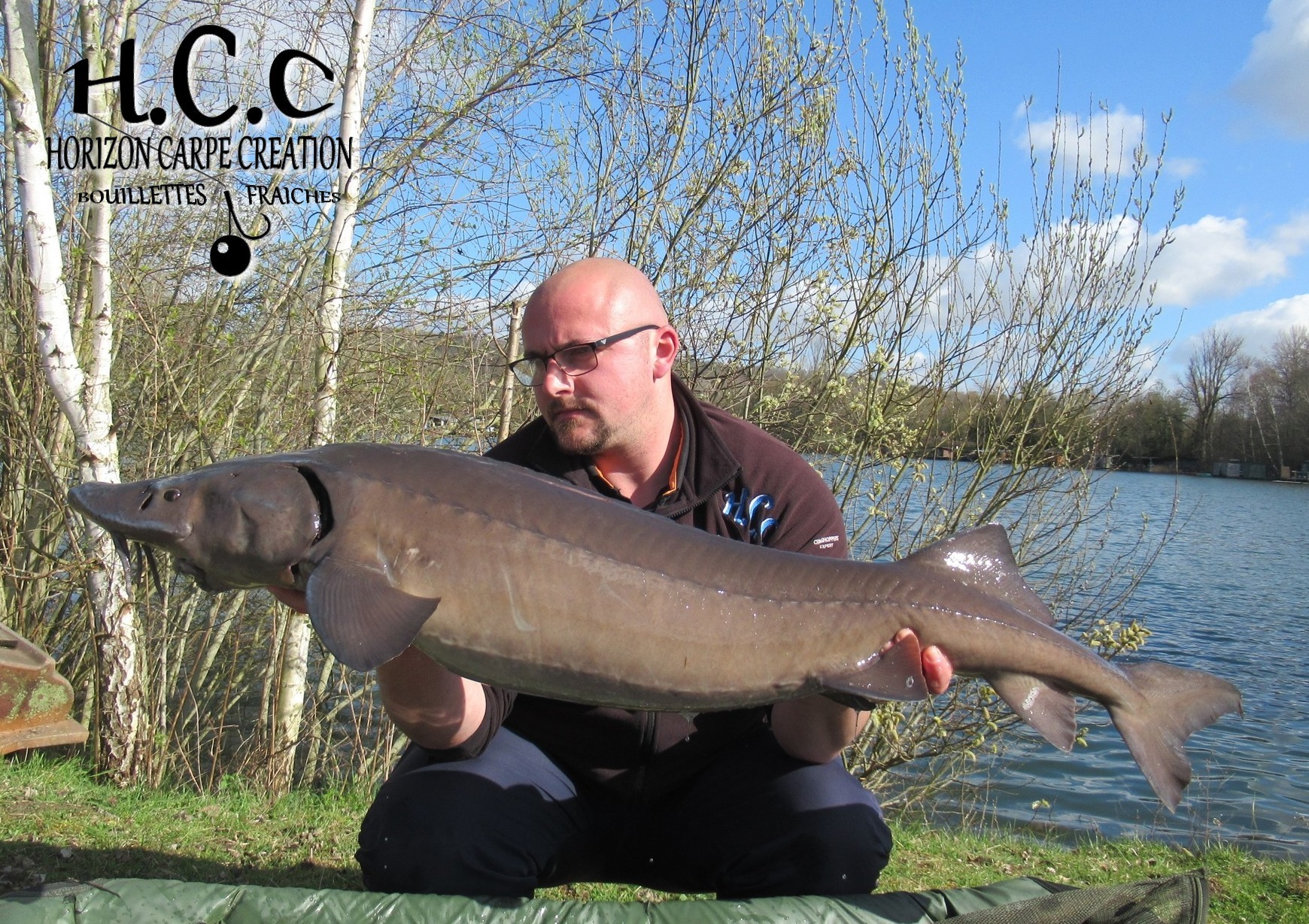 CEDRIC HAVY - CONSULTANT HCC