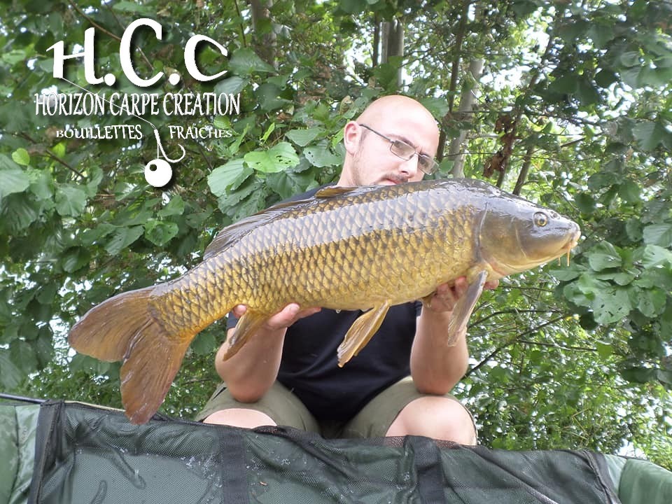 CÉDRIC HAVY - CONSULTANT HCC