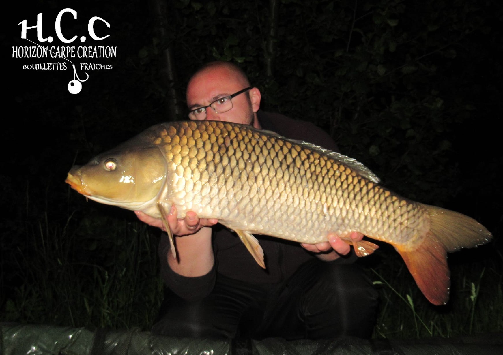 CEDRIC HAVY - CONSULTANT HCC