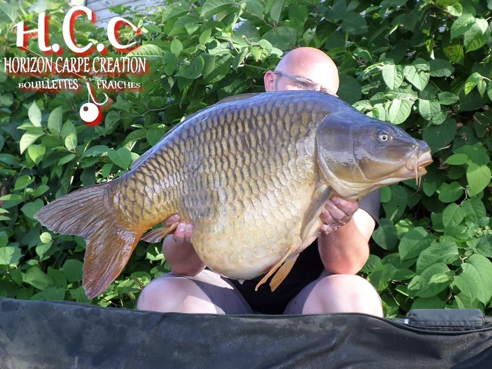 CEDRIC HAVY - CONSULTANT HCC