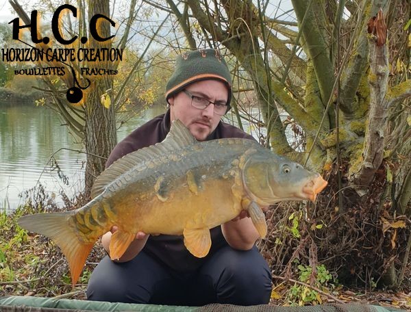 CEDRIC HAVY - CONSULTANT HCC