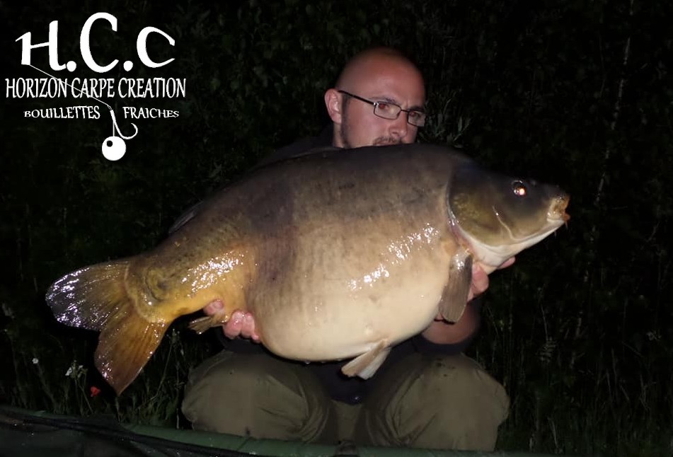 CEDRIC HAVY - CONSULTANT HCC