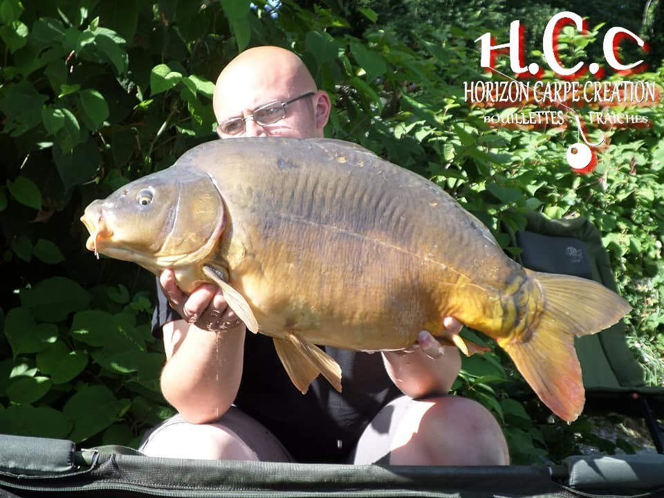 CEDRIC HAVY - CONSULTANT HCC