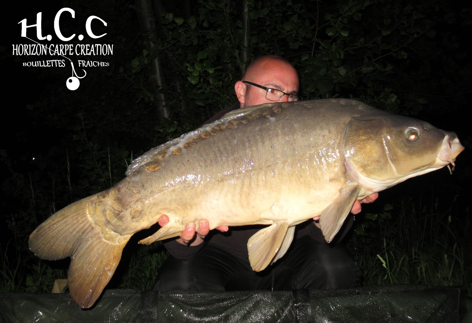 CEDRIC HAVY - CONSULTANT HCC