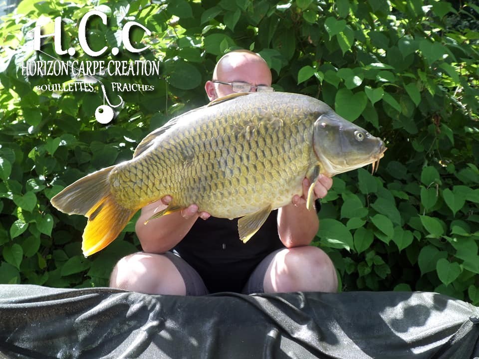 CEDRIC HAVY - CONSULTANT HCC