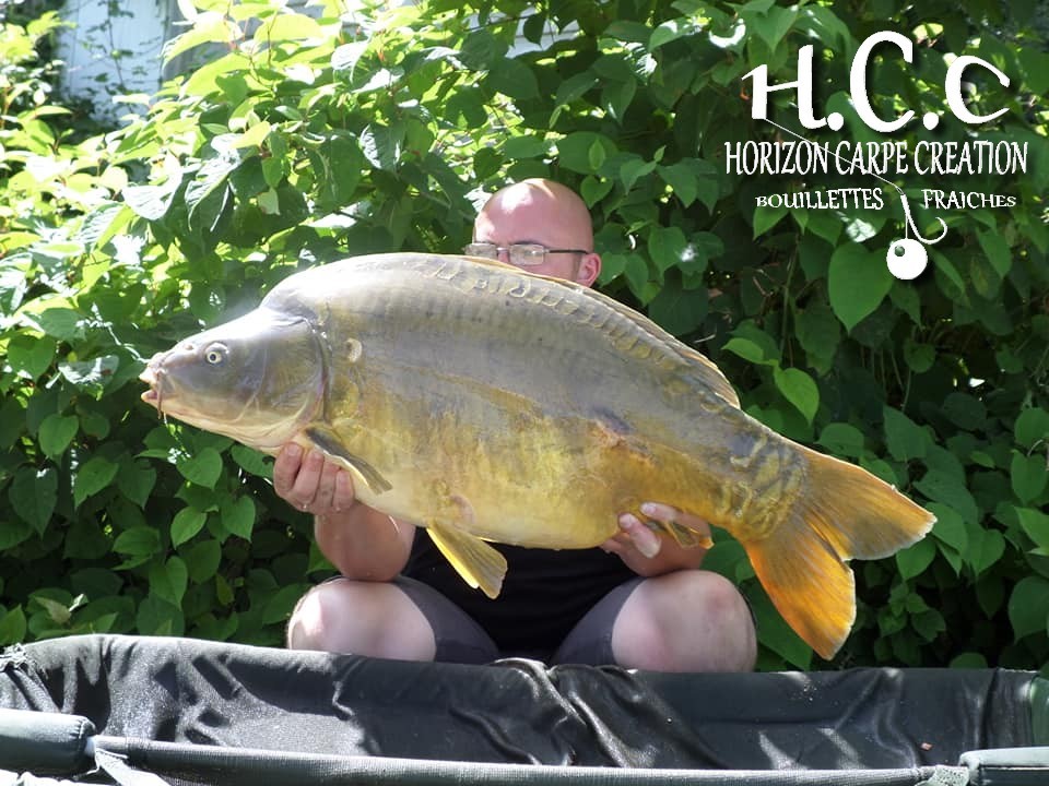 CEDRIC HAVY - CONSULTANT HCC