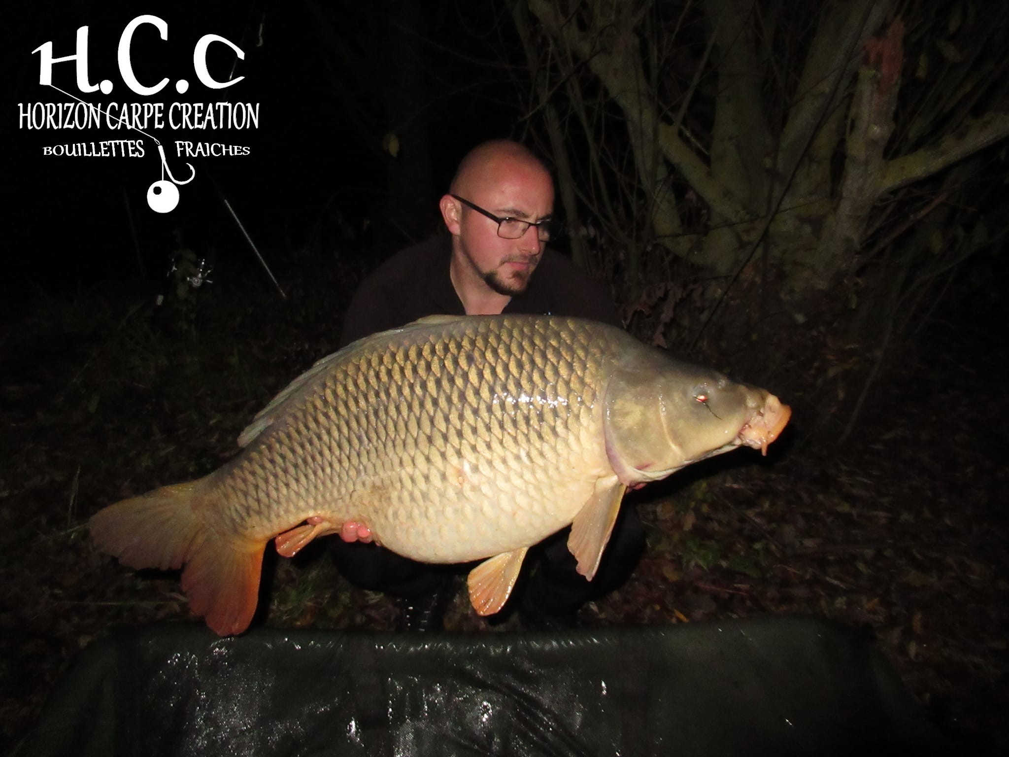 CEDRIC HAVY - CONSULTANT HCC