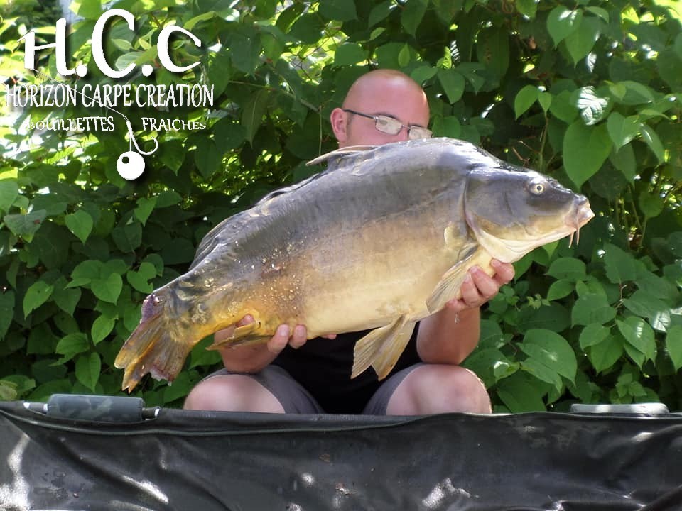 CEDRIC HAVY - CONSULTANT HCC