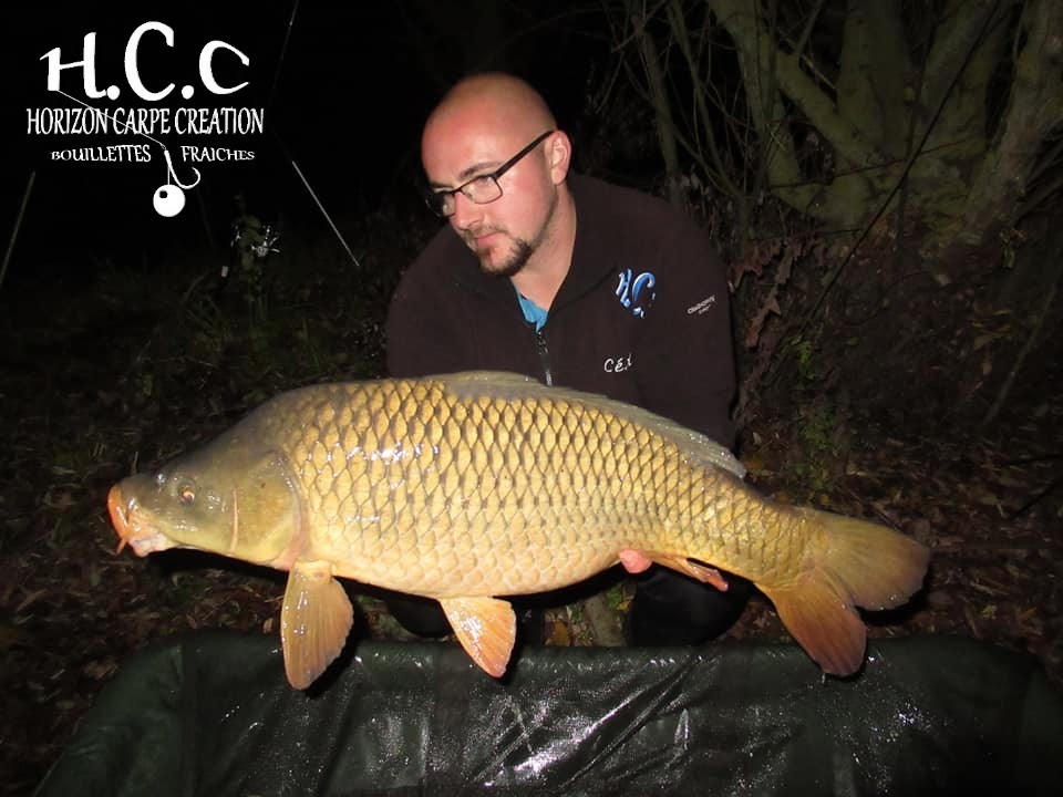 CEDRIC HAVY - CONSULTANT HCC