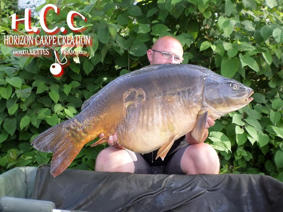 CEDRIC HAVY - CONSULTANT HCC