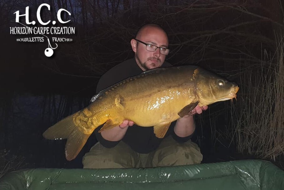 CEDRIC HAVY - CONSULTANT HCC