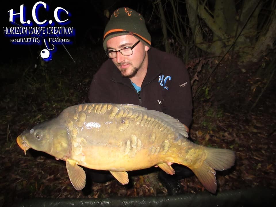 CEDRIC HAVY - CONSULTANT HCC