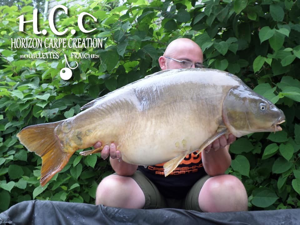 CEDRIC HAVY - CONSULTANT HCC