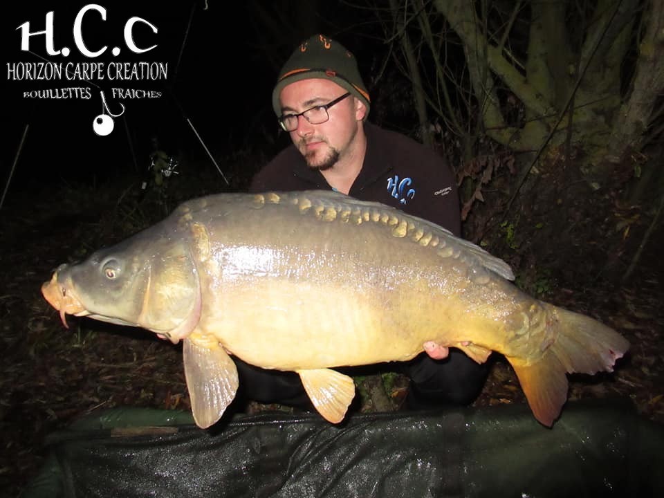 CEDRIC HAVY - CONSULTANT HCC