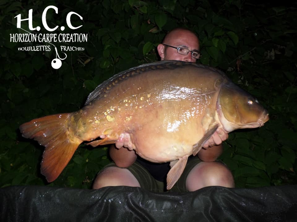 CEDRIC HAVY - CONSULTANT HCC