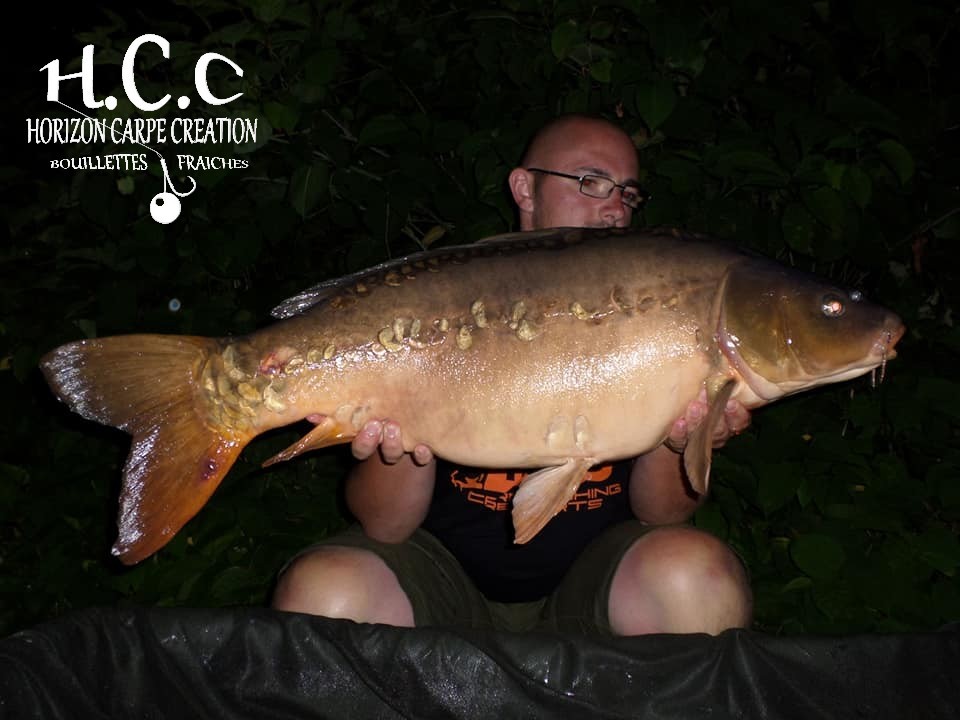 CEDRIC HAVY - CONSULTANT HCC