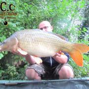 CEDRIC HAVY - CONSULTANT HCC
