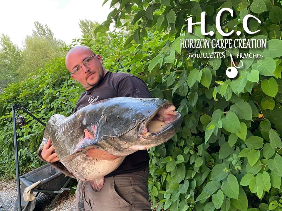CEDRIC HAVY - CONSULTANT HCC