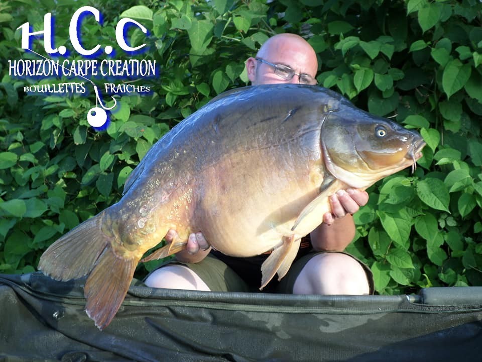 CEDRIC HAVY - CONSULTANT HCC