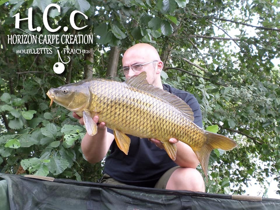 CÉDRIC HAVY - CONSULTANT HCC