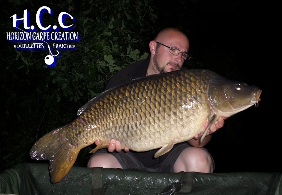 CEDRIC HAVY - CONSULTANT HCC