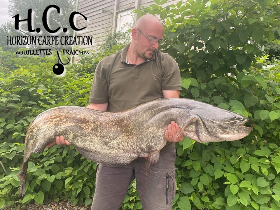 CEDRIC HAVY - CONSULTANT HCC