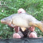 CEDRIC HAVY - CONSULTANT HCC